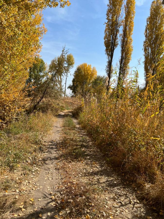 Чистые Пруды Bishkek Exterior photo